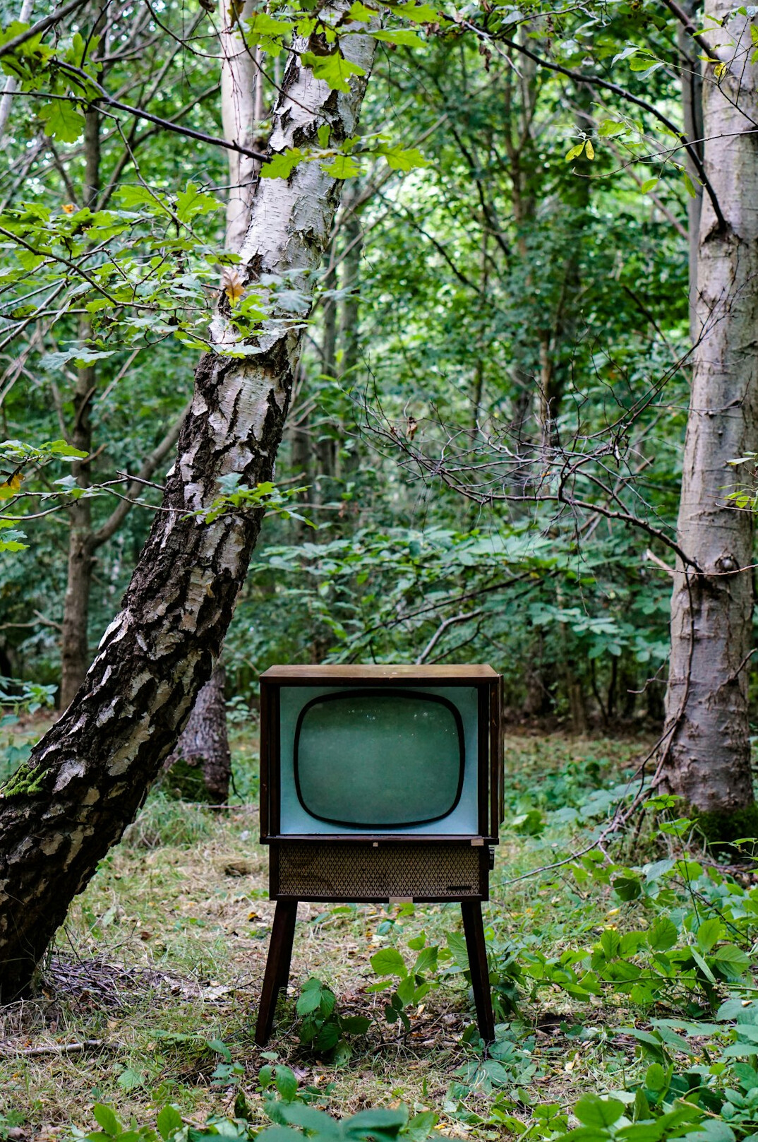 classic tv series